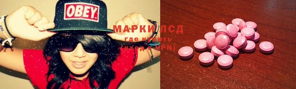 ПСИЛОЦИБИНОВЫЕ ГРИБЫ Балахна