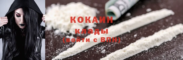 PSILOCYBIN Баксан