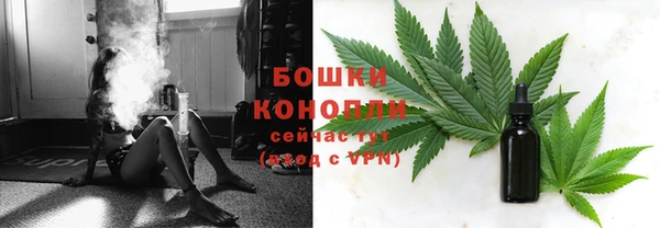 индика Балабаново