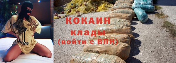 индика Балабаново