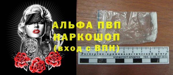 индика Балабаново