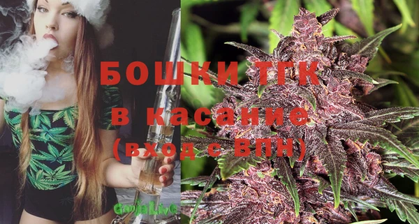 PSILOCYBIN Баксан