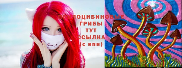 индика Балабаново