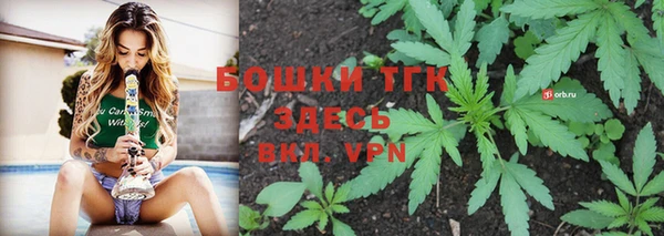PSILOCYBIN Баксан