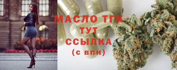 индика Балабаново
